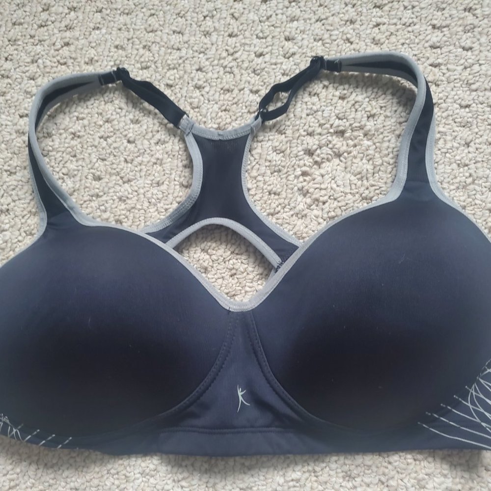Danskin sports bra